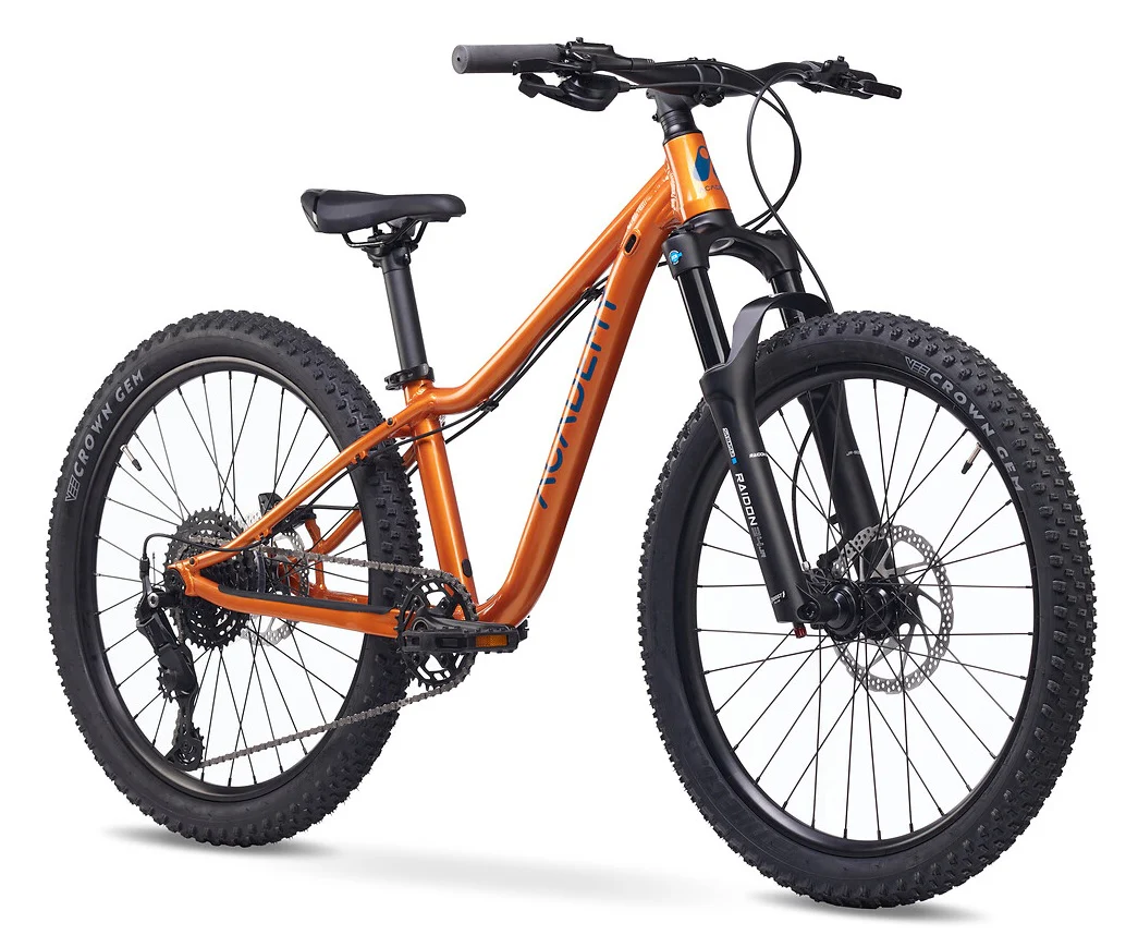 ACADEMY Trail 5 24" Amber (2026) - Image 2